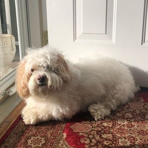 Meet your Posher, Victoria